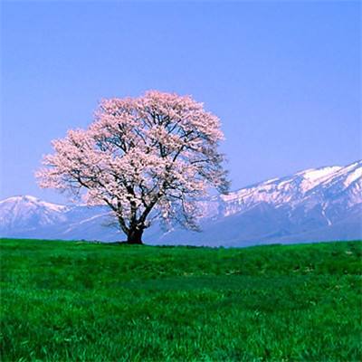 仙剑封魔录破解版手游下载